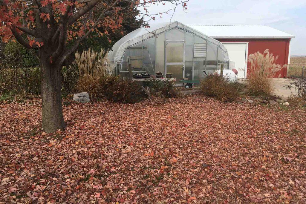 Greenhouse in fall