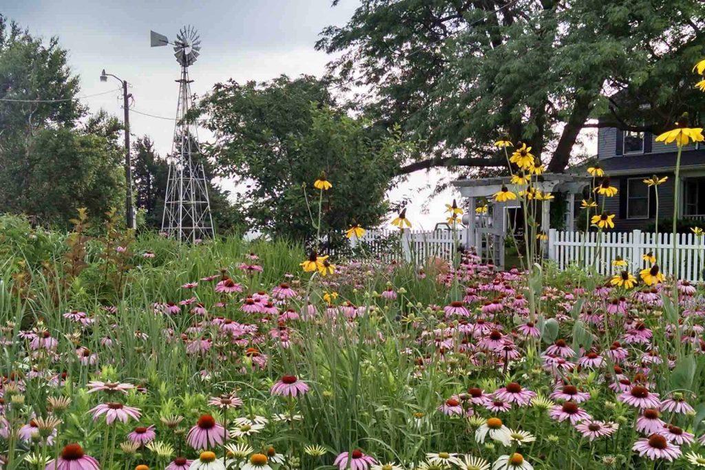 Windmill and flowers